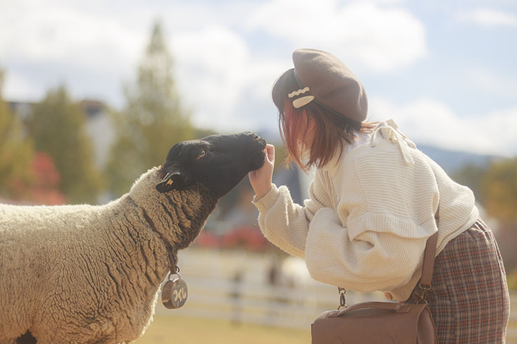 また会いに来たよ