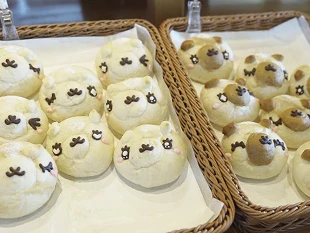 いつも人気のアルパカパン