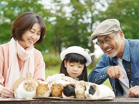 モルモットに触れます