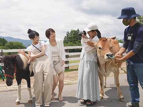 お散歩の動物たちとのふれあい