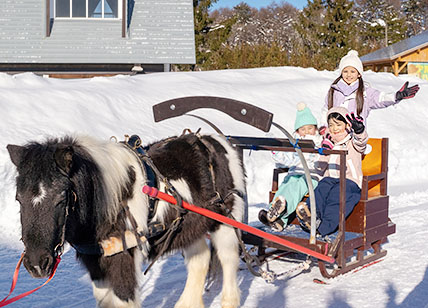 ポニーのうまそり