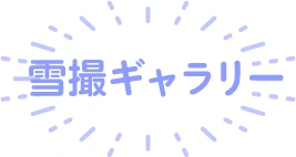 雪撮ギャラリー